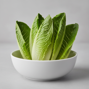 Romaine