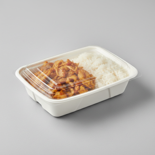 Sauteed Jackfruit AFB Boxed lunch with White Rice Sauteed Jackfruit AFB Boxed lunch with White Rice