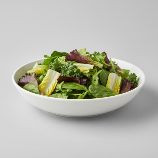 Garden Salad Garden Salad