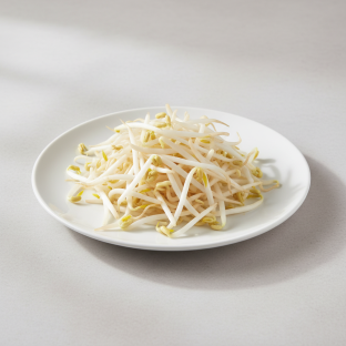 Bean Sprouts Bean Sprouts