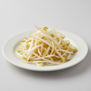 Bean Sprouts Bean Sprouts