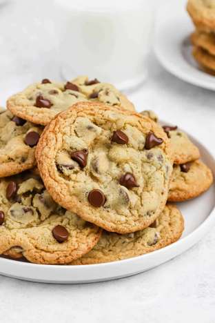 Chocolate Chip Cookie