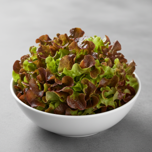 Red Leaf Lettuce