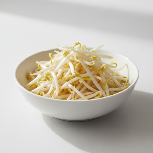 Bean Sprouts