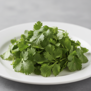 Cilantro Leaves