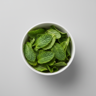 Fresh Mint Leaves