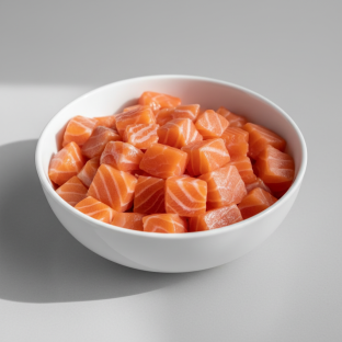 Salmon