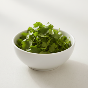 Cilantro