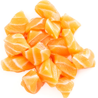 Salmon