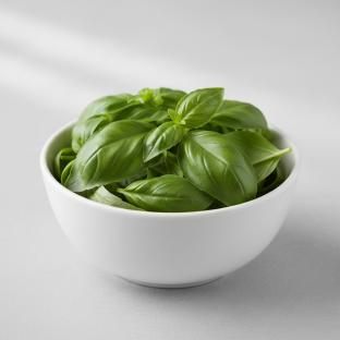 Basil Basil