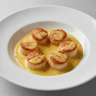 Safran Scallop