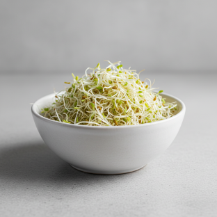 Alfalfa Sprouts Alfalfa Sprouts
