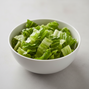 Romaine Lettuce Romaine Lettuce