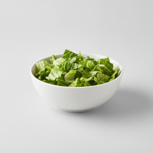 Romaine Lettuce Romaine Lettuce