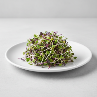 Micro Sprouts Micro Sprouts