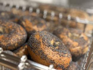 Poppy Bagel