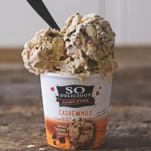 Salted Caramel Cluster Cashew Milk Frozen Dessert