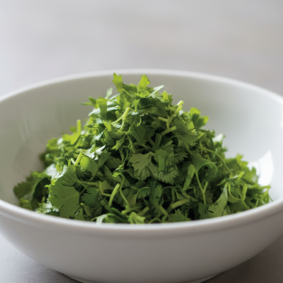 Fresh Cilantro Fresh Cilantro