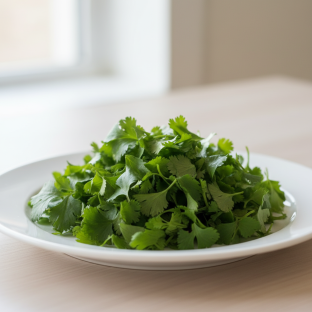 Cilantro Cilantro