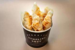 Classic Dumpling Chicken & Scallion (5pc)