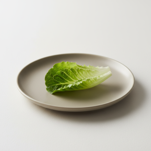 Extra Lettuce Cup for Lettuce Wrap Extra Lettuce Cup for Lettuce Wrap