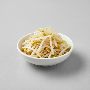 Bean Sprouts Bean Sprouts