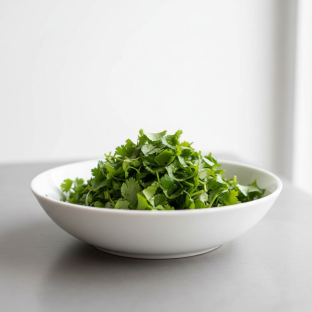 Cilantro