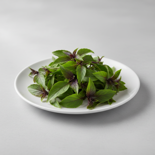 Thai Basil Thai Basil