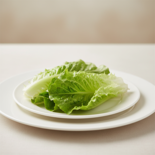 Lettuce Lettuce
