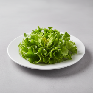 Lettuce Lettuce