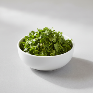 Cilantro Cilantro