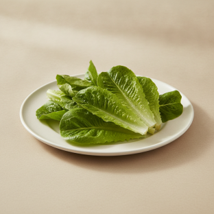 Lettuce Lettuce