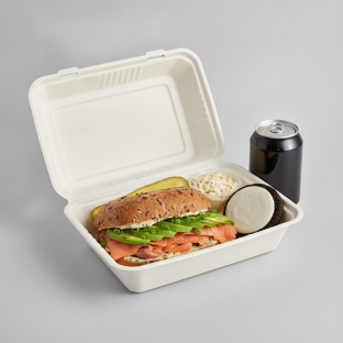 Sandwich Boxed Lunch — The Flatiron Sandwich / Regular Soda Sandwich Boxed Lunch — The Flatiron Sandwich / Regular Soda