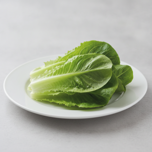 Lettuce Lettuce