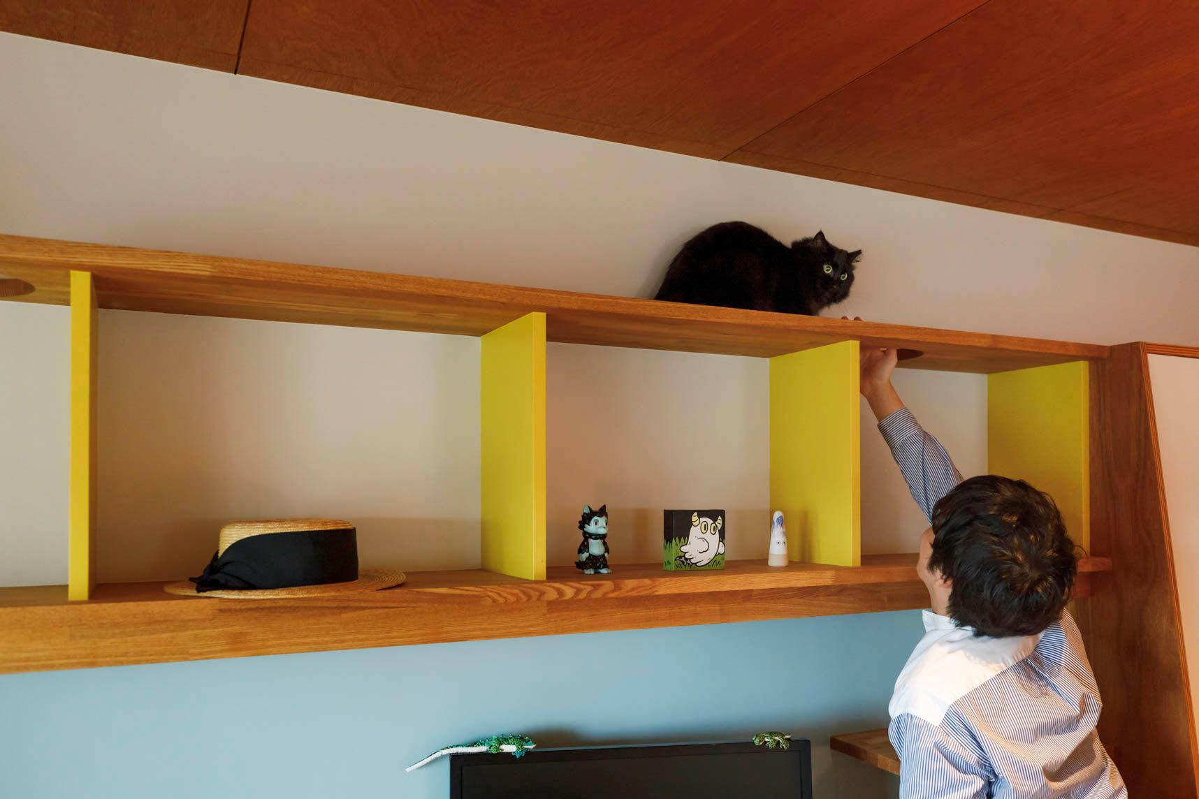 猫も暮らしやすい空間作りを意識し箱型の収納を書斎の上に設置