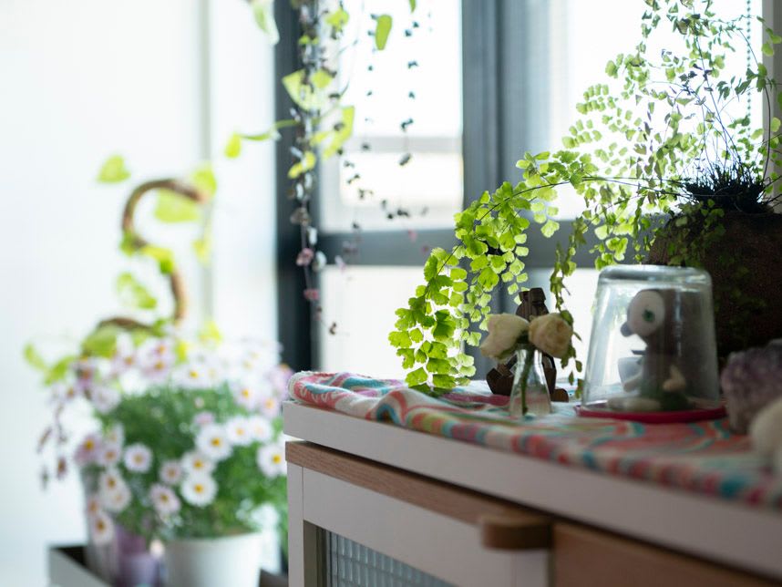 中古マンションのリノベーション後の窓辺に置いた植物