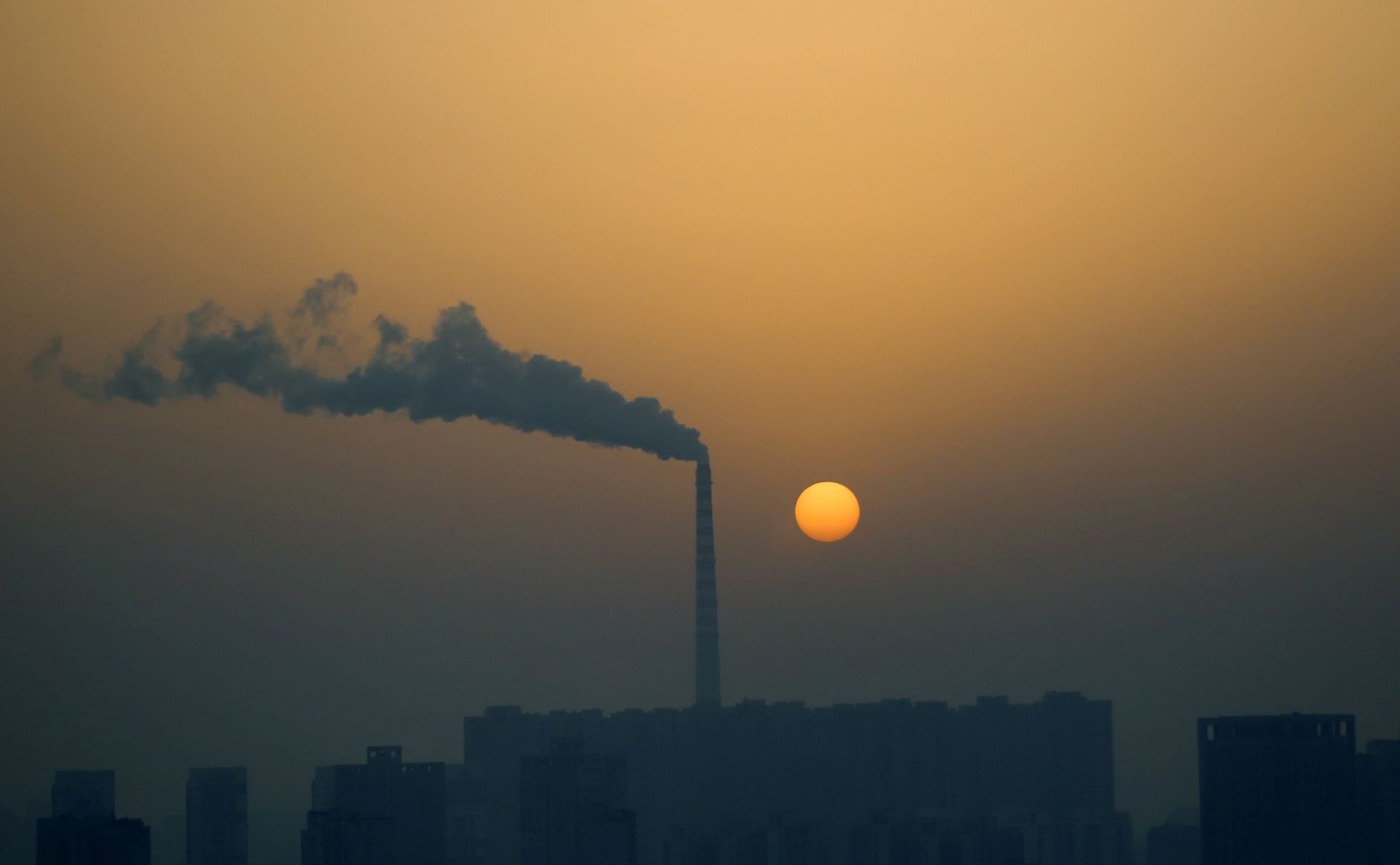 If Amazon doesn’t know how to eliminate carbon emissions, then who does?