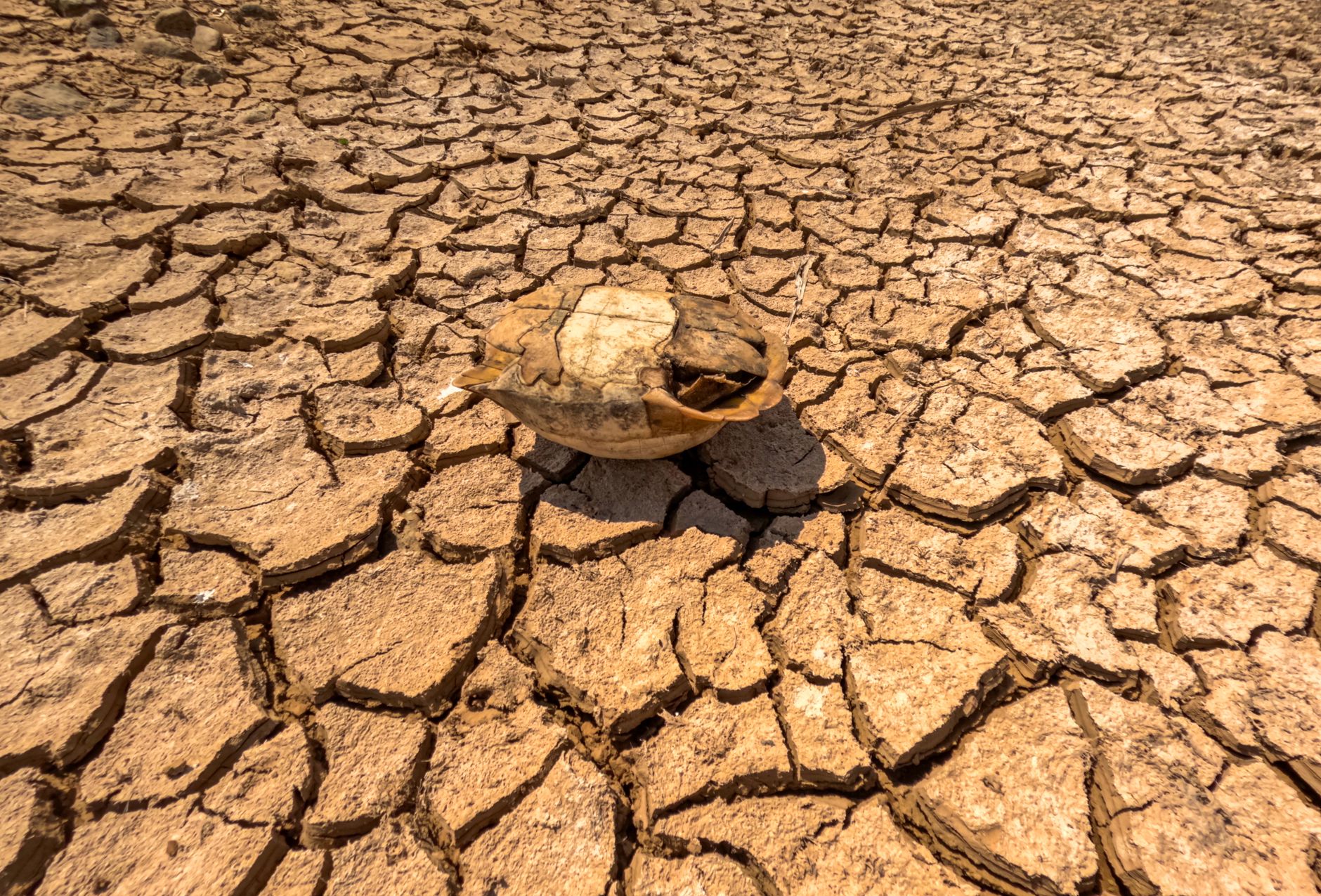 Death Toll From Europe’s Extreme Summer Heat Estimated At More Than 50,000