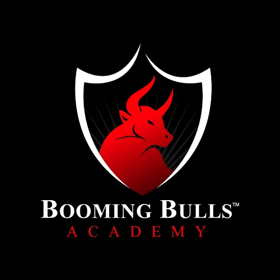 Booming Bulls Academy Logo