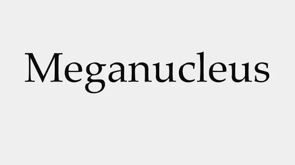 MegaNucleus Logo