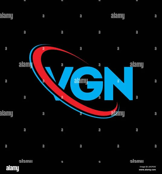 VGN IT Craftsmen Logo