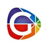 Genius Mind Systems Logo
