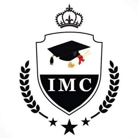 International Management Consultancy Logo