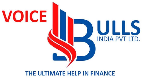 Voicebulls India pvt Ltd Logo