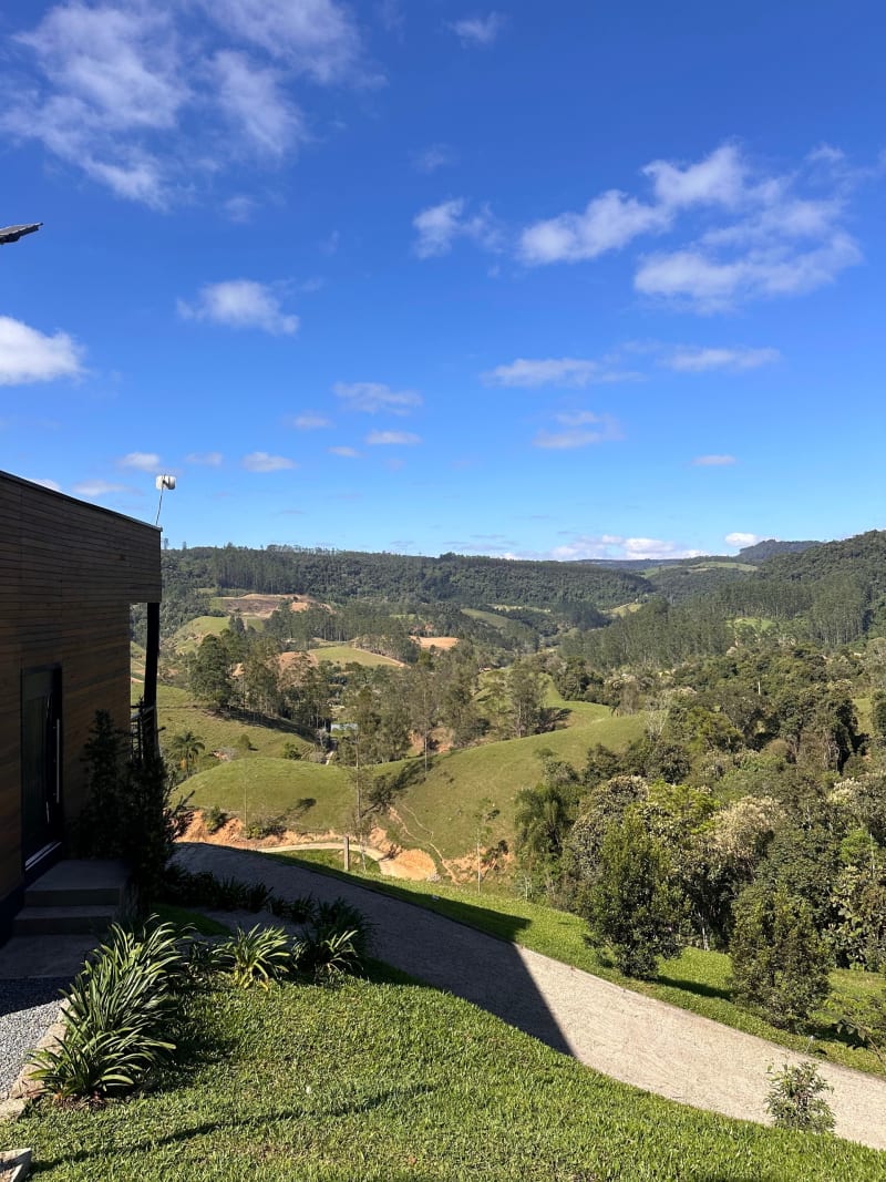 Vista