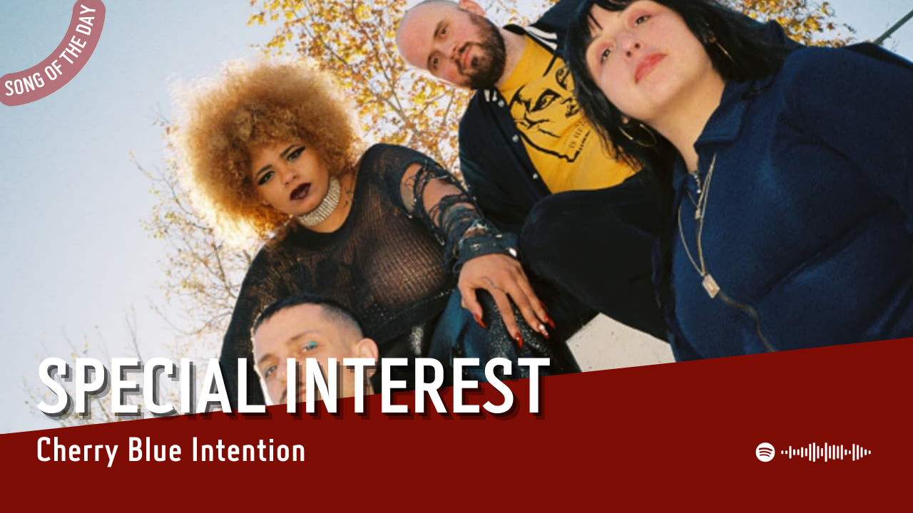 La #SOTD di oggi è di: Special Interest