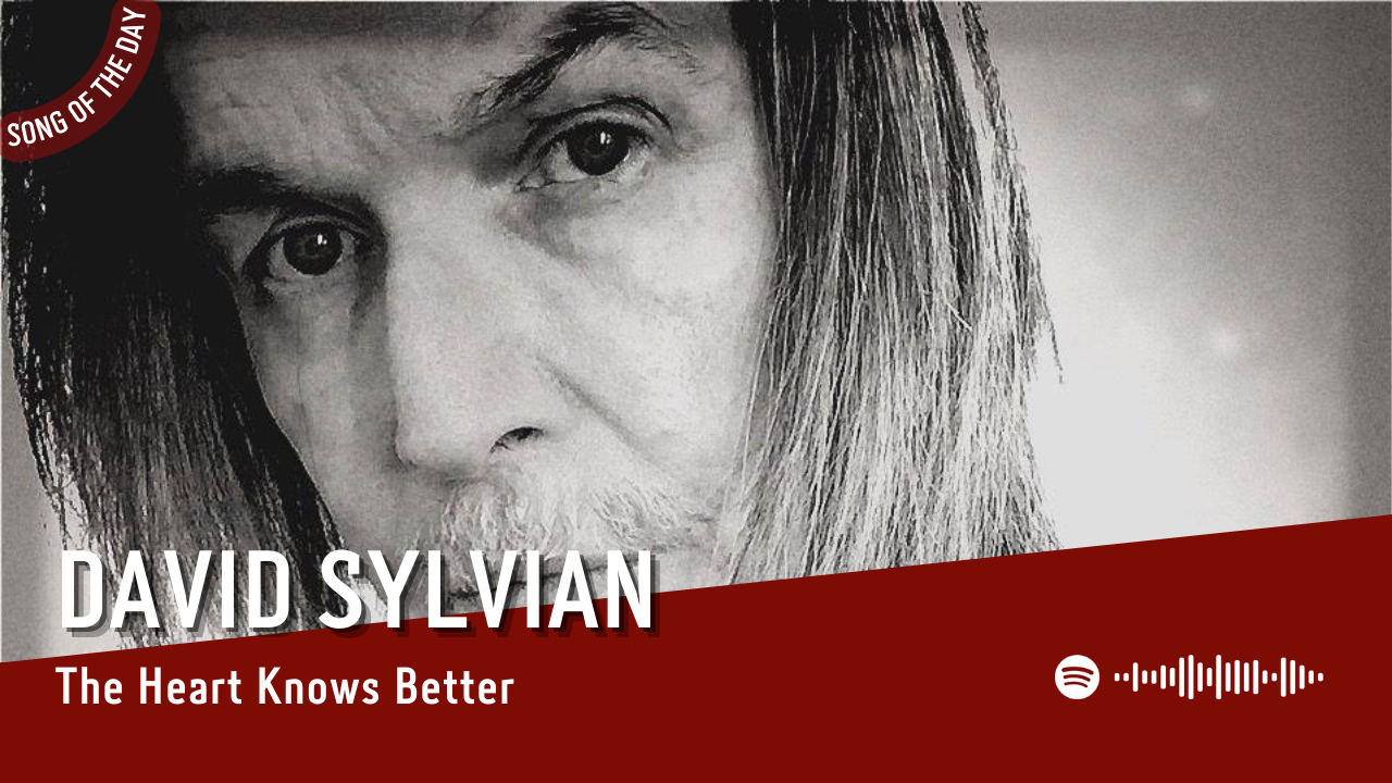La #SOTD di oggi è di: David Sylvian