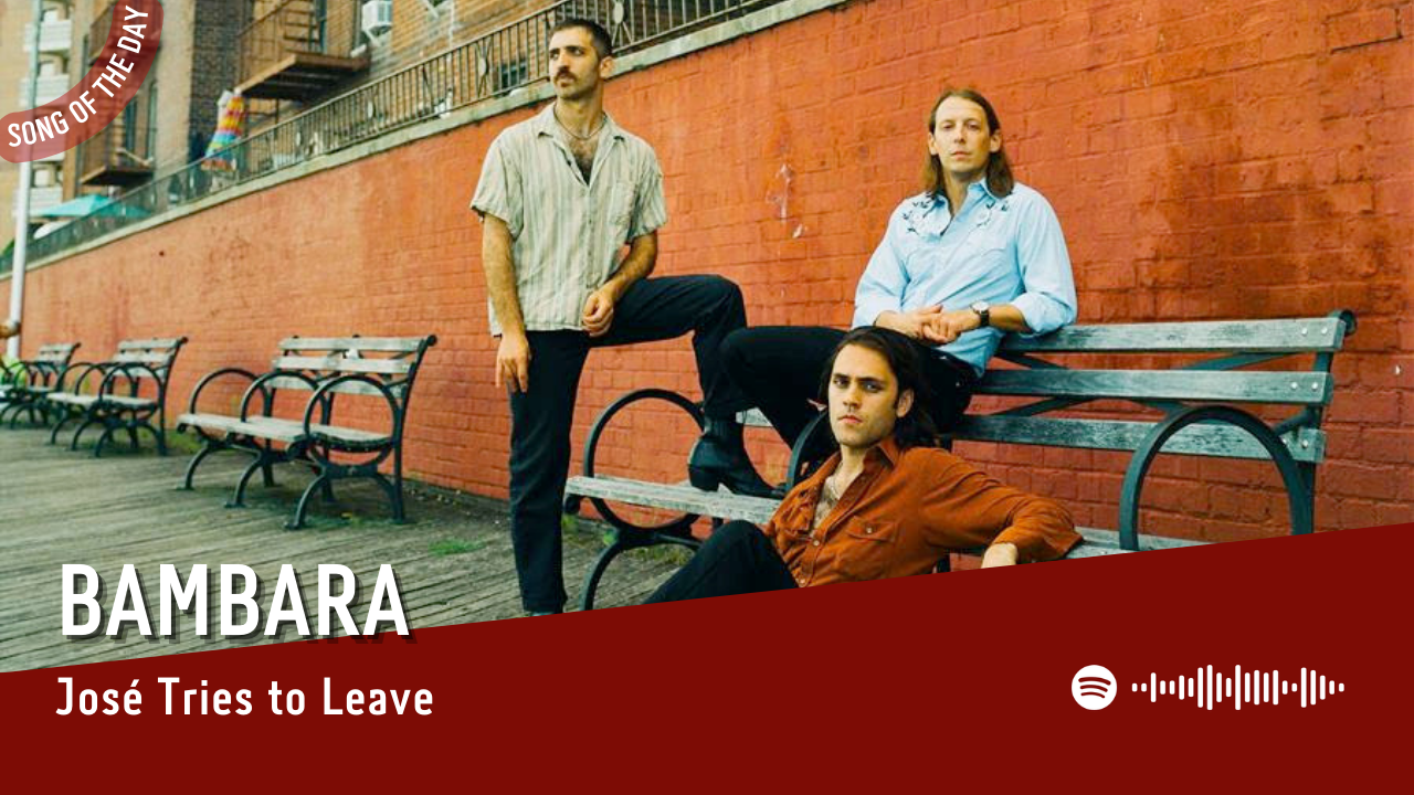 La #SOTD di oggi è di: BAMBARA