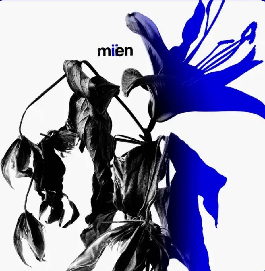 MIEN