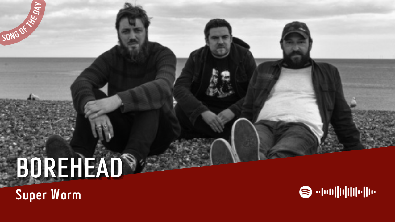 La #SOTD di oggi è di: Borehead
